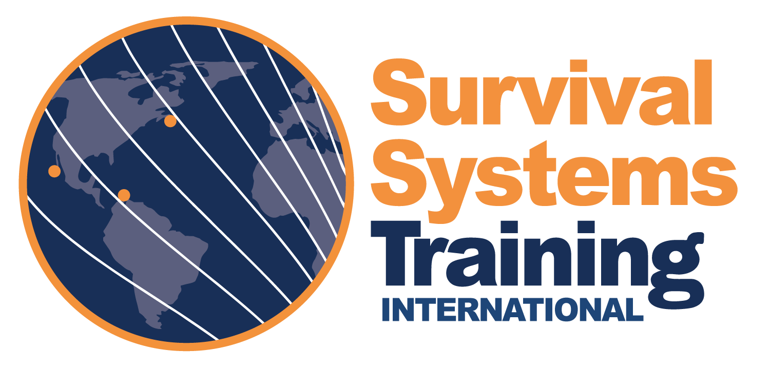 Integrated Consulting & Training Services Integrated Consulting & Training Services